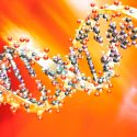 Cuando la ciencia alcanza a la ficción: historias del ADN