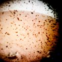 La primera fotografía enviada por InSight, la nave de la Nasa que acaba de llegar a Marte