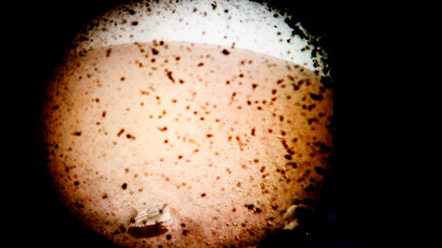 La primera fotografía enviada por InSight, la nave de la Nasa que acaba de llegar a Marte