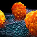 El cáncer: Un viejo enemigo que apenas comenzamos a comprender