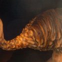 Las aves elefante eran nocturnas y posiblemente ciegas