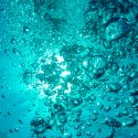 Científicos descubren bacteria en el fondo del océano Pacífico que absorbe el CO2