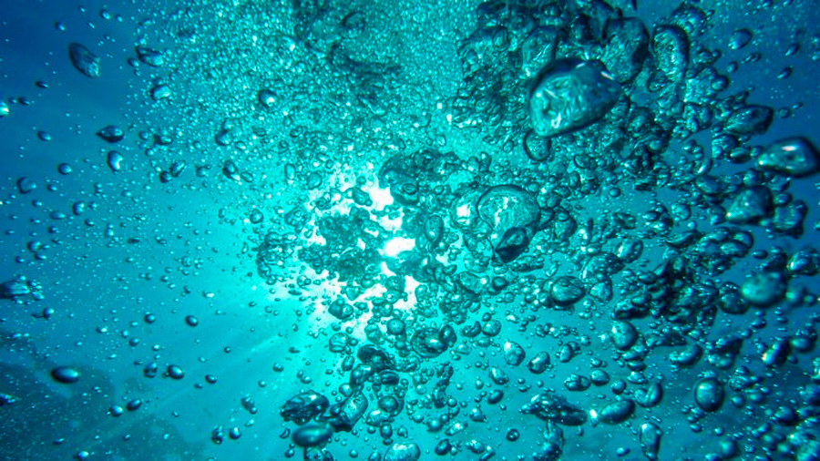 Científicos descubren bacteria en el fondo del océano Pacífico que absorbe el CO2