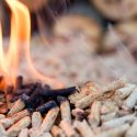 Científicos convierten las heces humanas en biocombustible renovable