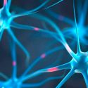 Investigadores de Chile descubren que el manejo de la glucosa detiene el progreso del Alzheimer