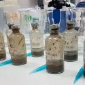 Hallan microorganismos que degradan petróleo en el golfo de México