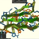 Hito biológico de la IA de Google: un algoritmo predice forma de las proteínas a partir de su ADN