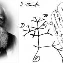 La clave para cumplir una predicción de Darwin está en los fósiles