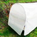 Innovan emprendedoras mexicanas dispositivo que potencia condiciones de las colmenas para preservar vida de abejas