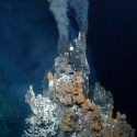 Descubren un nuevo ecosistema en el fondo del océano, hogar de especies nunca antes vistas