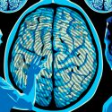 Hallan mecanismos moleculares vinculados al autismo y esquizofrenia