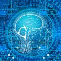 Descifrado el código cerebral que interpreta los sentidos