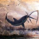 Un fósil acredita un tiburón ancestral derribando un pterosaurio