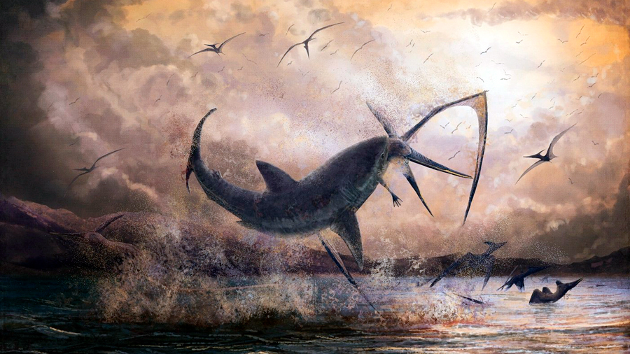 Un fósil acredita un tiburón ancestral derribando un pterosaurio