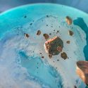 Difunde Science los diez avances científicos de 2018 que han hecho historia