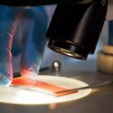 Científicos españoles encuentran un orden en el caos del melanoma: tienen un coordinador global