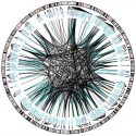 Cartografiado el panorama genético del cerebro