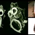 Echa un vistazo a los organismos más tenebrosos del planeta