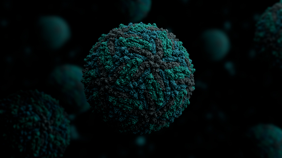 Científicos españoles descubren el secreto de los virus para zafarse del sistema inmune