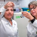 Crean científicos mexicanos nanofertilizante que potencializa la producción agrícola en más del 200 por ciento