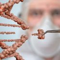 Edición genética, bioseguridad y cambio climático, retos científicos para 2019, según 'Nature'