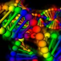 Investigadores resuelven uno de los mayores enigmas de la replicación del ADN