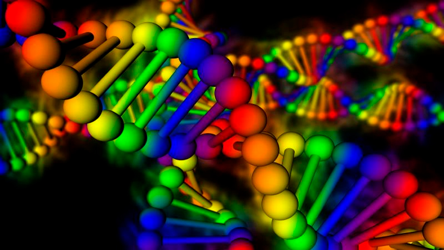 Investigadores resuelven uno de los mayores enigmas de la replicación del ADN