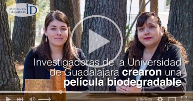 Crean científicas bioplástico desde nanotecnología forestal