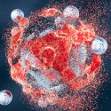 Investigadores españoles logran nanopartículas que penetran tumores cerebrales y transportar fármacos