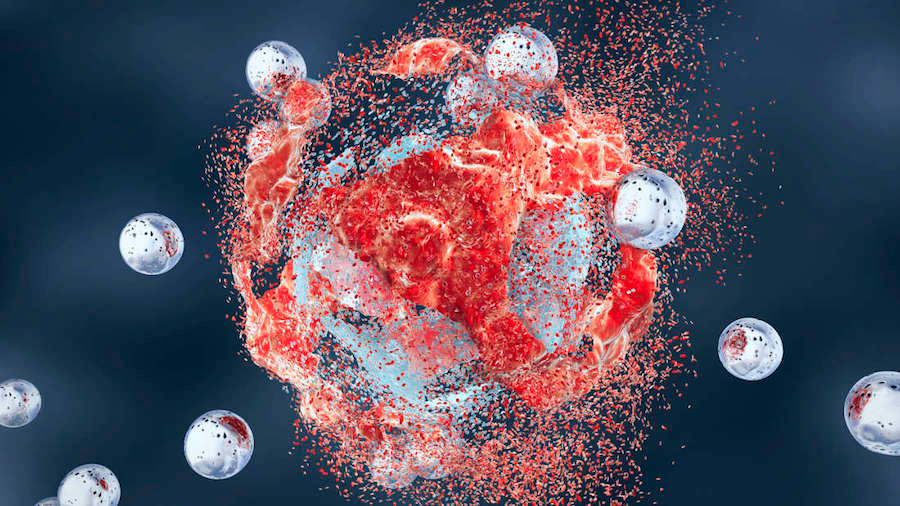 Investigadores españoles logran nanopartículas que penetran tumores cerebrales y transportar fármacos