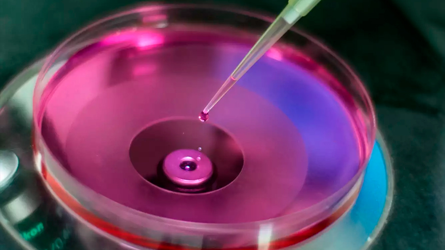 Recurren científicos a células madre para el tratamiento de la diabetes