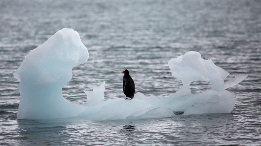 La Antártida se derrite seis veces más rápido que hace 40 años