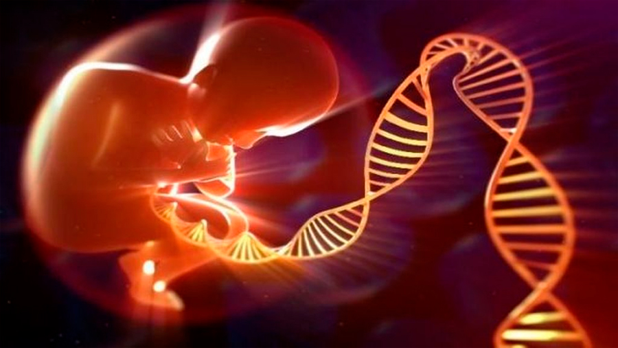 Otra mujer está embarazada de un bebé modificado genéticamente en China