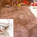 Viaje al primer hogar de la Humanidad: una choza de 10 mil 800 años
