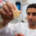 Identifican genes relacionados con la gravedad del dengue