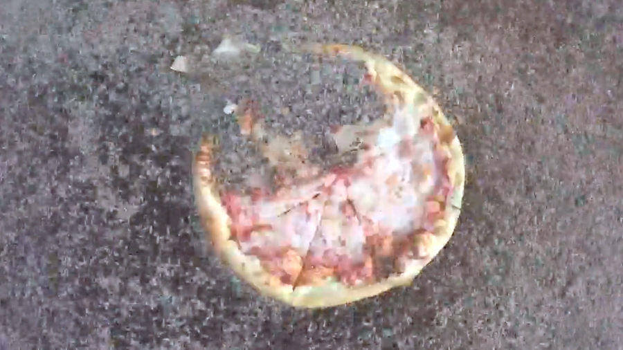 Un enjambre de larvas devora una pizza en dos horas
