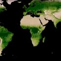 La Tierra es más verde que hace 20 años, afirma la NASA