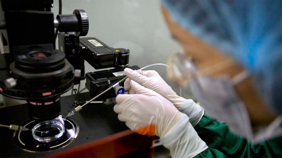 Nueva ley China castiga modificaciones genéticas e investigaciones científicas no autorizadas