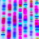 Descubren dos genes raros que propician el desarrollo de Alzheimer