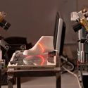 Crea investigador mexicano sistema de imágenes para diagnóstico temprano de pie diabético