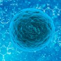 Las células usan azúcares para comunicarse a nivel molecular