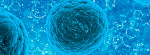 Las células usan azúcares para comunicarse a nivel molecular