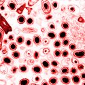 Las bacterias se vuelven zombis para sobrevivir
