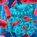 Científicos mexicanos estudian en menores obesos el efecto de la fibra en el equilibrio de glucosa