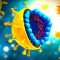 Logran eliminar el virus de la hepatitis C en pacientes con VIH