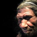 Encuentran en Gibraltar la segunda huella de neandertal en el mundo
