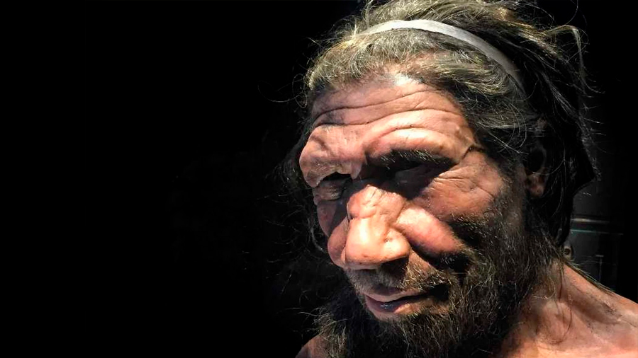 Encuentran en Gibraltar la segunda huella de neandertal en el mundo