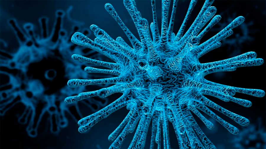 Los virus interactúan socialmente entre sí para evadir al sistema inmunitario
