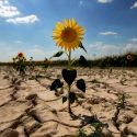 Organizaciones ecológicas de Francia demandan al Estado por "inacción" ante el cambio climático