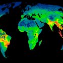 Primer mapa que muestra cómo los humanos destruyen la biodiversidad
